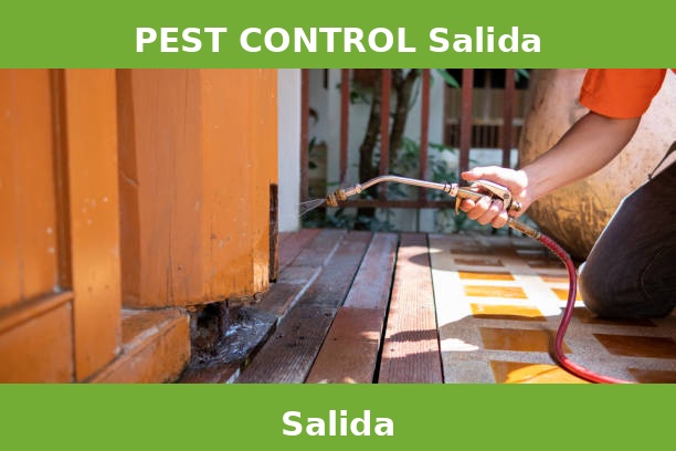 PEST CONTROL Salida